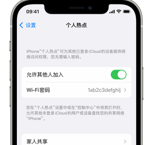 蕉岭apple服务站点分享iPhone上个人热点丢失了怎么办 