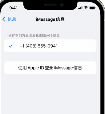 蕉岭apple维修iPhone上无法正常发送iMessage信息 