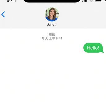 蕉岭apple维修iPhone上无法正常发送iMessage信息
