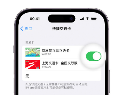 蕉岭apple维修点分享iPhone上更换Apple Pay快捷交通卡手绘卡面 