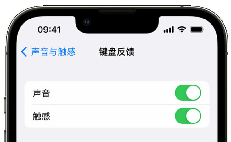 蕉岭苹果手机维修分享iPhone 14触感键盘使用方法 