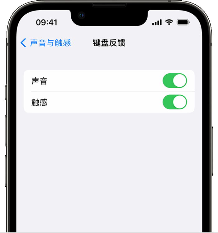 蕉岭苹果14维修店分享如何在 iPhone 14 机型中使用触感键盘 