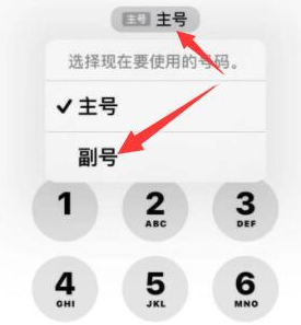 蕉岭苹果14维修店分享iPhone 14 Pro Max使用副卡打电话的方法 