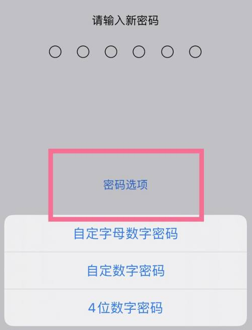 蕉岭苹果14维修分享iPhone 14plus设置密码的方法 