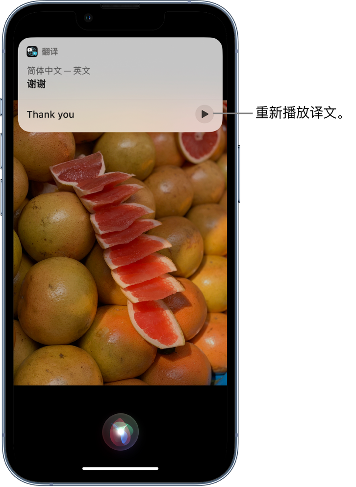 蕉岭苹果14维修分享 iPhone 14 机型中使用 Siri：了解 Siri 能帮你做什么 