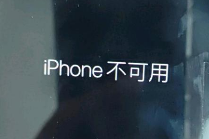 蕉岭苹果服务网点分享锁屏界面显示“iPhone 不可用”如何解决 