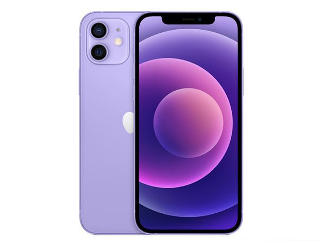 蕉岭苹果手机维修分享现阶段要不要入手紫色版iPhone12 