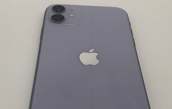 蕉岭苹果11系统维修分享iPhone11手机系统崩溃无法开机如何解决 