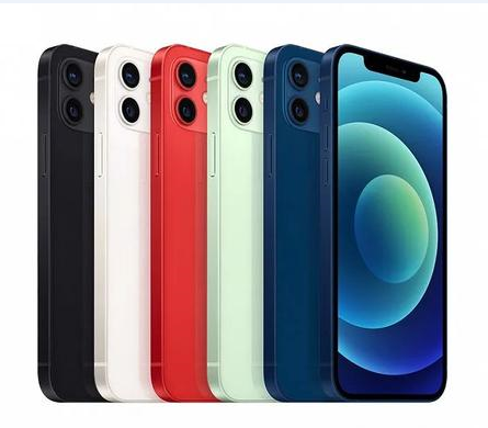 蕉岭苹果维修点分享iPhone 12 Pro Max黑屏冷门故障解读 