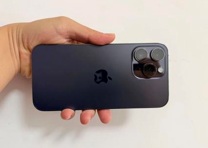 蕉岭苹果维修点分享iPhone 14 Pro Max黑屏少见故障盘点 